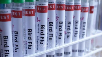 Nga cảnh báo dịch cúm A tiếp tục gia tăng