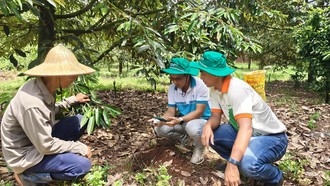 Cán bộ Phú Mỹ tiến hành kiểm tra sức khỏe đất 