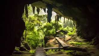 Công viên quốc gia Niah, Malaysia