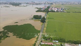 Toàn cảnh cánh đồng lúa và khu dân cư thôn Yên Tàng, xã Đa Phúc (Hà Nội) bị ngập úng nghiêm trọng do nước sông Cầu dâng cao, đe dọa trực tiếp đến đời sống người dân