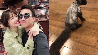 Trấn Thành bức xúc với Hari Won vì con mèo 3.000 USD