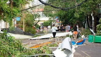 Bão số 13 làm nhiều cây xanh tại Quy Nhơn bị ngã đổ.