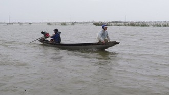 Việc đi lại giữa xã Quảng Điền và phường Kim Trà, thành phố Huế phải dùng thuyền, do lũ sông Bồ dâng cao gây ngập lụt ngày 17/11. 