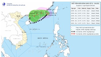 Đường đi của bão số 5.