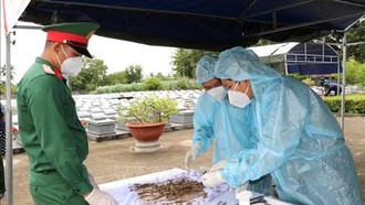 Lực lượng chức năng lấy mẫu hài cốt liệt sĩ chưa xác định được thông tin tại Nghĩa trang Liệt sĩ Tiểu Cần theo đúng quy trình kỹ thuật, phục vụ giám định ADN. 