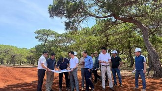Chủ tịch Trịnh Văn Quyết trực tiếp kiểm tra, đôn đốc tiến độ các dự án trọng điểm, nhà đầu tư hào hứng dõi theo