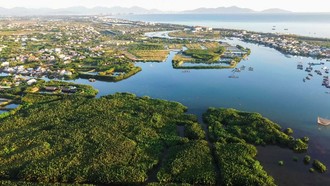 Dự án Casamia Balanca Hoi An nằm kế ngay khu dự trữ sinh quyển Rừng Dừa Bảy Mẫu.