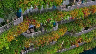 Liệu pháp chữa lành ở Flamingo Cát Bà Resorts với hệ sinh thái 160 trải nghiệm độc bản