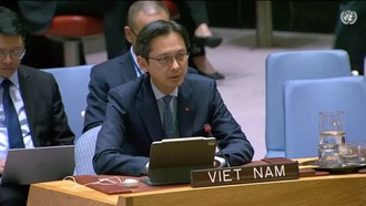 Trưởng Phái đoàn Thường trực Việt Nam tại Liên hợp quốc, Đại sứ Đỗ Hùng Việt. 