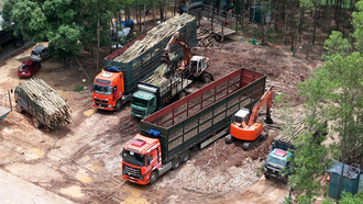 Trạm cân, tập kết lâm sản trái phép vẫn hoạt động bất chấp quy định pháp luật. (Ảnh: Hoàng Anh)
