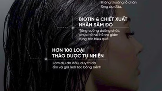 The Cheuda – đưa trải nghiệm chăm sóc tóc chuẩn Hàn Quốc đến gần hơn với người Việt