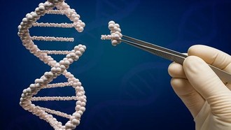 Biến thể gene hiếm chống ung thư máu mở ra hướng điều trị mới