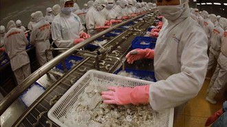 Việt Nam xây dựng chuỗi cung ứng bền vững trong trật tự thương mại đa cực