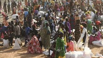 Nguy cơ thiếu lương thực nghiêm trọng bủa vây các nước châu Phi