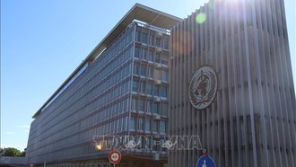 WHO nhấn mạnh vai trò của Mỹ trong hệ thống y tế toàn cầu