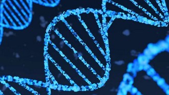 Google ra mắt công cụ AI giúp giải mã những bí ẩn của bộ gene người