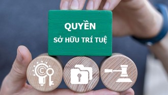 Thủ tướng Chính phủ chỉ thị tăng cường thực thi quyền sở hữu trí tuệ