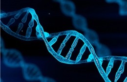 Ứng dụng AI để “giải mã” hệ miễn dịch con người