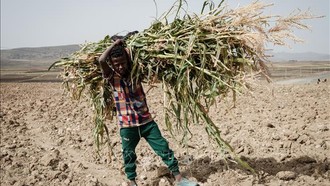 Châu Phi đối mặt viễn cảnh nắng nóng cực đoan gần như quanh năm