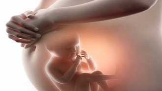 Cơ chế tự nhiên giúp bảo vệ gan trẻ em từ trong bụng mẹ