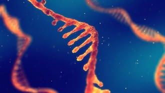 ADN cá hồi và astaxanthin mở ra xu hướng chống lão hóa toàn diện