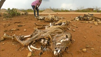 LHQ thông qua khung thống kê toàn cầu đầu tiên về rủi ro và tác động thiên tai