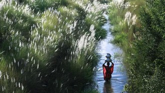 Khủng hoảng nước toàn cầu đang trở nên trầm trọng hơn do bất bình đẳng giới