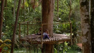 Hơn 100.000 trường học đã tuân thủ hướng dẫn về trường học xanh của UNESCO