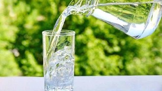 Loài cây quen thuộc có thể giúp loại bỏ vi nhựa khỏi nước uống