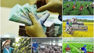 Tập trung vào các lĩnh vực thiết yếu khi phân bổ vốn thực hiện Chương trình mục tiêu quốc gia