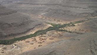 Dấu tích về thời kỳ xanh tươi của sa mạc Sahara