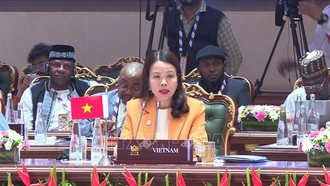 Việt Nam sẵn sàng thúc đẩy kết nối BRICS với khu vực châu Á - Thái Bình Dương