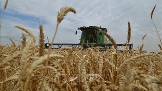 FAO cảnh báo cú sốc hệ thống với mạng lưới nông nghiệp và lương thực toàn cầu