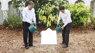 Tổng Bí thư, Chủ tịch nước Tô Lâm và Thủ tướng Lawrence Wong trồng cây tại Vườn Bách thảo Singapore