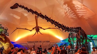 Khám phá lịch sử tự nhiên hàng tỷ năm giữa lòng thủ đô của Mexico