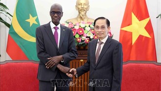 Việt Nam luôn trân trọng quan hệ hữu nghị, truyền thống với các quốc gia châu Phi