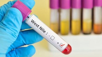 Dịch virus Tây sông Nile lan rộng tại Italy