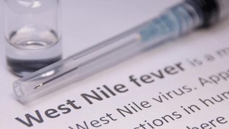 Nguy cơ lây lan virus Tây sông Nile ở châu Âu