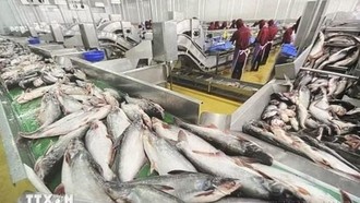 Việt Nam - Canada: Mở rộng không gian hợp tác mới