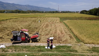 Indonesia dừng phá rừng để mở rộng diện tích trồng lúa