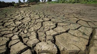 Một số khu vực miền Nam nước Anh ban bố tình trạng "hạn hán nghiêm trọng"