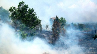 Indonesia sẵn sàng thảo luận khung pháp lý ASEAN về khói mù xuyên biên giới