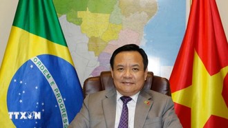 Việt Nam kêu gọi doanh nghiệp Brazil ủng hộ đàm phán PTA với MERCOSUR
