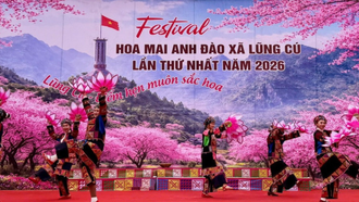Tuyên Quang khai mạc Festival hoa mai anh đào lần thứ nhất năm 2026