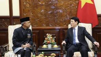 Chủ tịch nước Lương Cường tiếp Đại sứ Cộng hòa Indonesia Adam Mulawarman Tugio đến trình Quốc thư nhận nhiệm vụ tại Việt Nam. Ảnh: Lâm Khánh/TTXVN