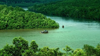 Khởi động chuyến du xuân bằng trải nghiệm khám phá rừng Sác là lựa chọn lý tưởng cho các gia đình