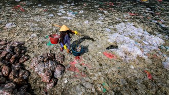 80% rác thải nhựa đại dương có nguồn gốc từ đất liền. Ảnh: UNDP