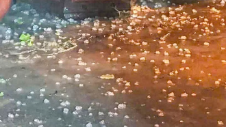 Những viên to như ngón tay cái rơi dày đặc tại Hà Nội.