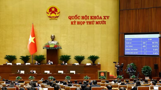 Xử lý triệt để tình trạng chậm ban hành văn bản quy định chi tiết luật, pháp lệnh, nghị quyết