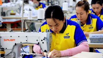 Sản xuất hàng dệt may xuất khẩu. 